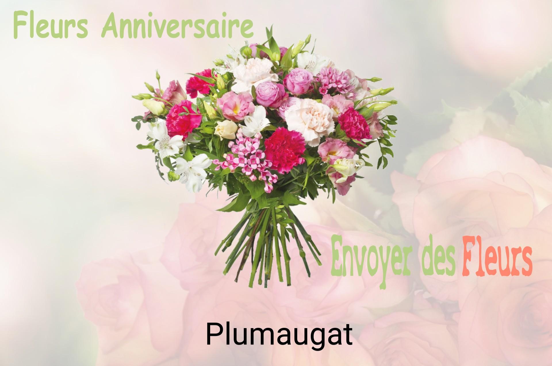 Bouquet de fleurs d’anniversaire livré à Plumaugat