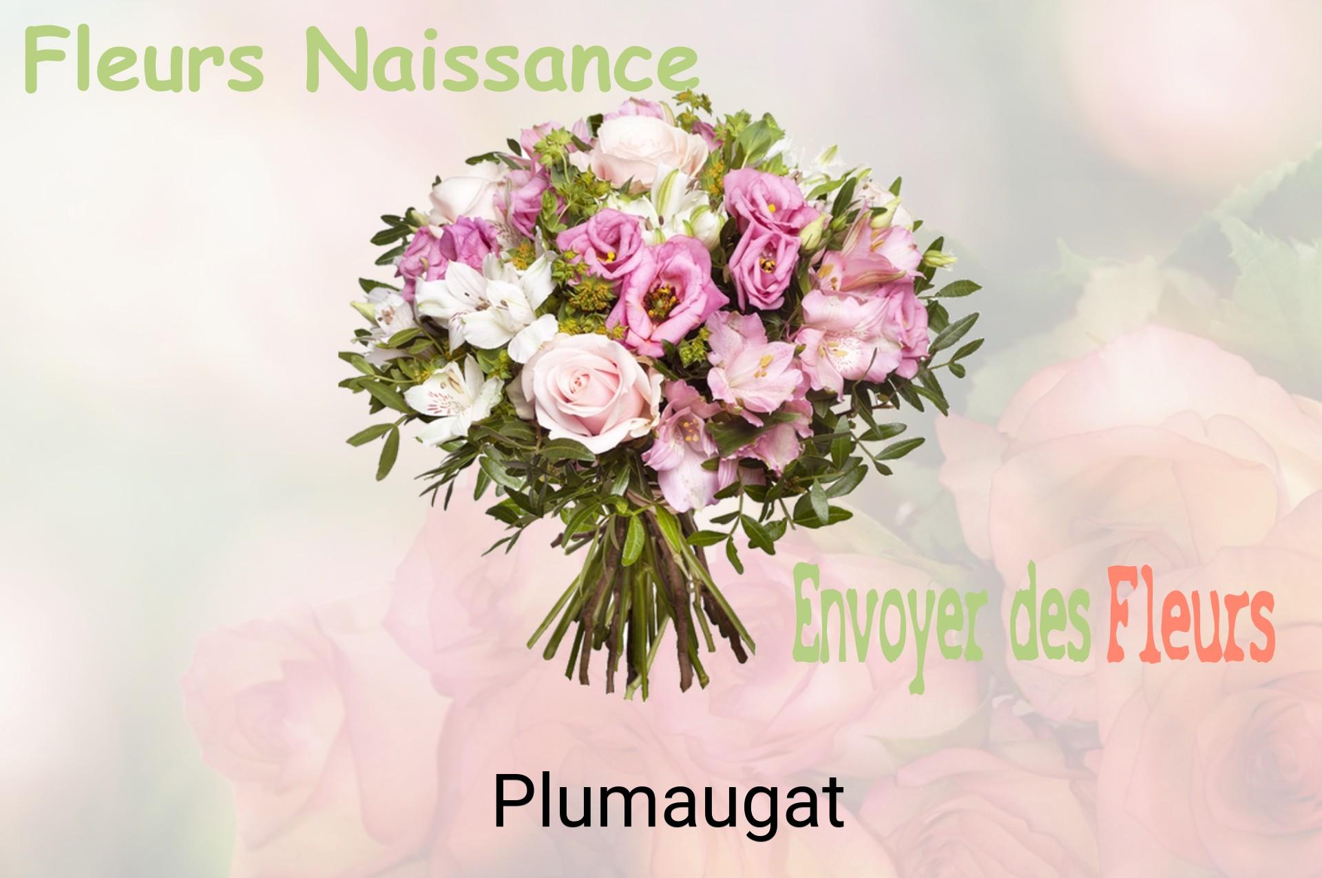 Bouquet de fleurs de naissance livré à Plumaugat