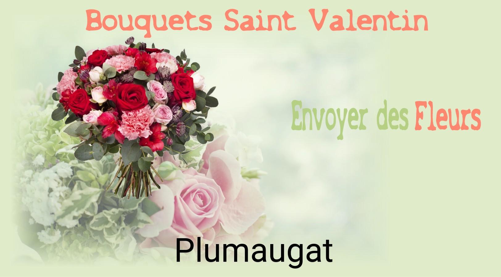 Roses de Saint-Valentin livrées à Plumaugat