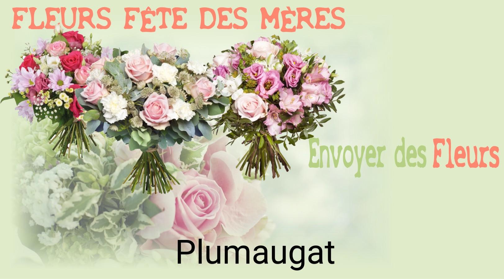 Bouquet de Fête des Mères livré à Plumaugat
